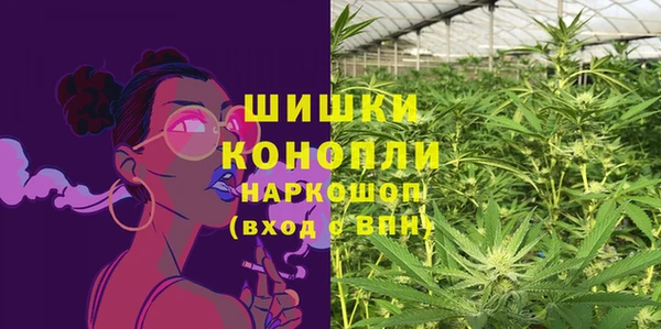мдпв Корсаков