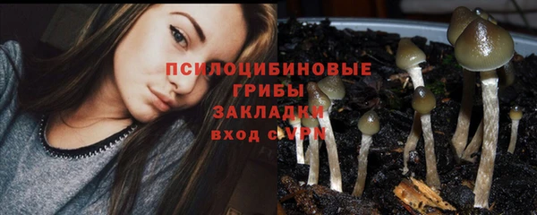 дживик Алексеевка